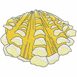 Seashell Embroidery Design 12